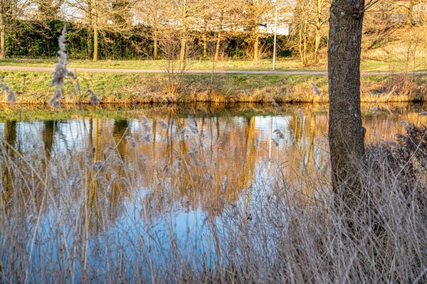 Medium property photo - Deurnestraat 32, 6843 PR Arnhem